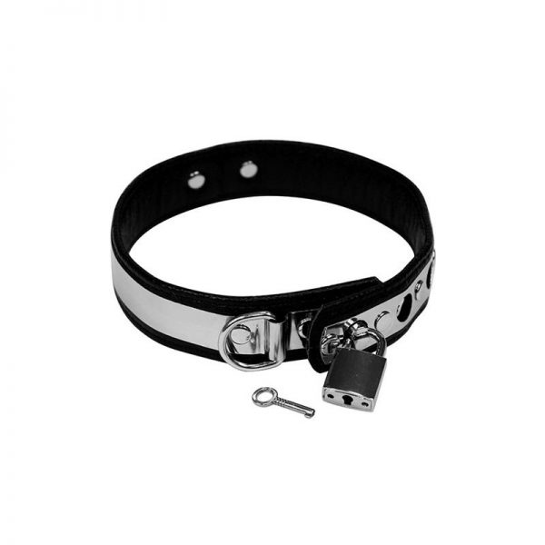 Collar de Cuero y Metal Ajustable de calidad