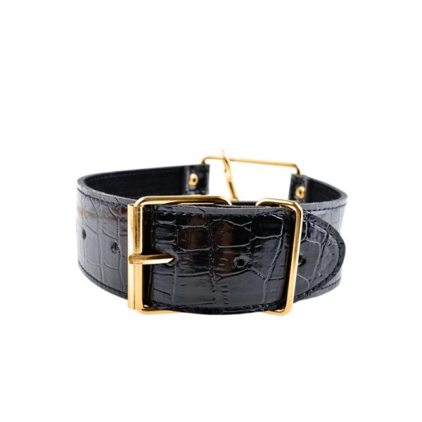Fetish Fantasy Gold Collar con Correa Negro de calidad
