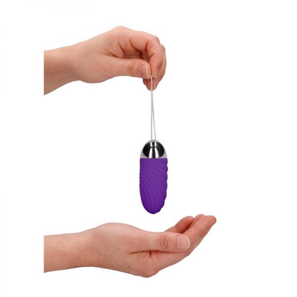 comprar Huevo Vibrador Ethan Control Remoto Recargable Purpura en sex shop online