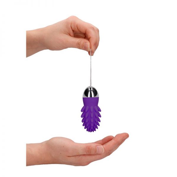 comprar Huevo Vibrador Mason Control Remoto Recargable Purpura en sex shop online