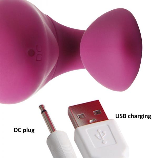 Novak Vibrador para Parejas Control Remoto USB Púrpura fabricado por ENGILY ROSS