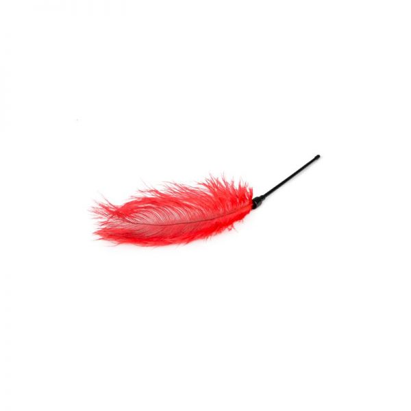 Plumero Rojo de precio barato