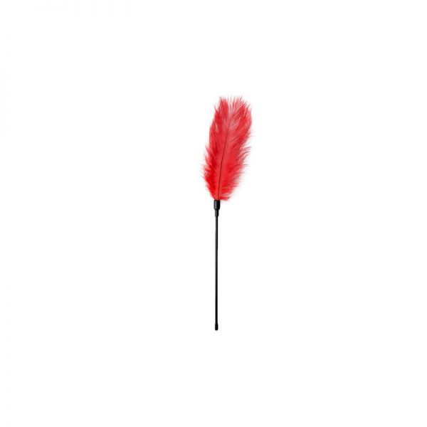 Plumero Rojo diseñado por la marca EASYTOYS
