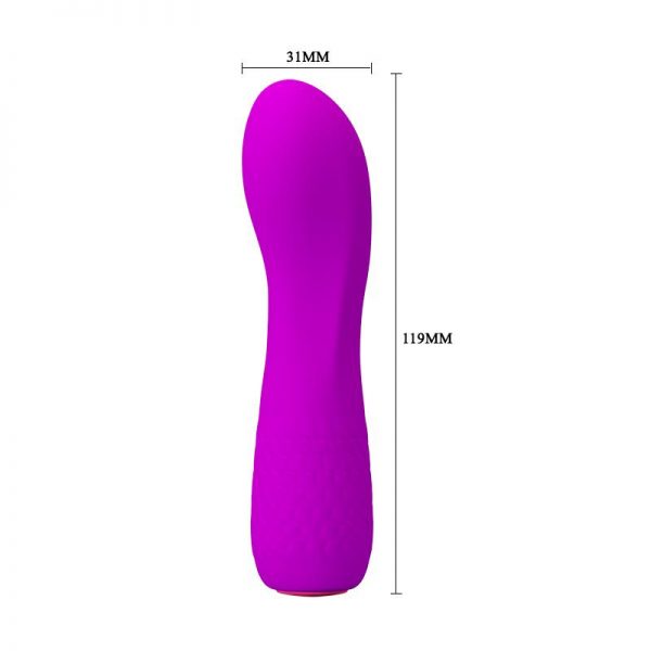 Vibrador Adam USB Silicona Purpura de calidad y barato