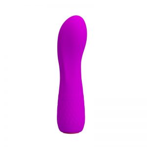 Vibrador Adam USB Silicona Purpura de la marca PRETTYLOVE