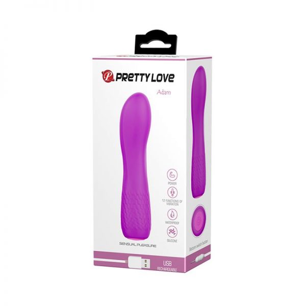Vibrador Adam USB Silicona Purpura de la tienda erótica web www.tiendaeroticaweb.es