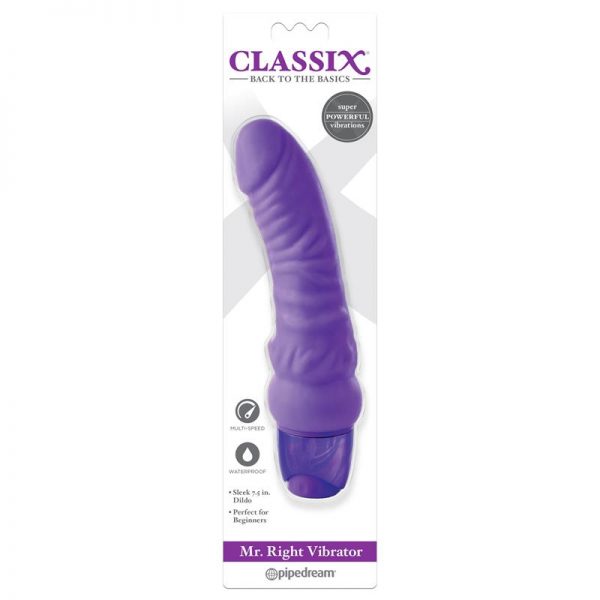 comprar Vibrador Mr. Right Purpura barato y de calidad